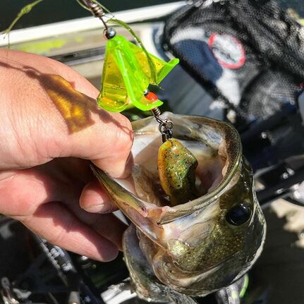 Dunkin' Frog inline frog buzzbait - WELCOME TO JAMES GANG FISHING CO.