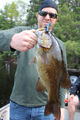 Guided Bass Fly Fishing Wisconsin Bass Guide Flambeau River, 47% OFF